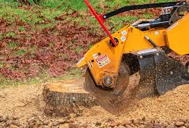 Best Utility Line Clearance  in Rio Grande City, TX